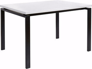 Стол Sandra 120, белый/черный цена и информация | Кухонные и обеденные столы | hansapost.ee