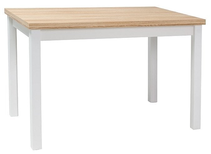 Laud Adam DB, 60x100 cm, tamme/valge värv hind ja info | Köögilauad, söögilauad | hansapost.ee