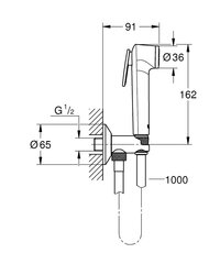 Grohe Tempesta- F Trigger Spray 30 комплект с настенным клапаном/кронштейном 26358000 цена и информация | Душевые комплекты и панели | hansapost.ee