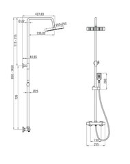 Dušisüsteem termostaatsegistiga Deante Alpinia NAC 01LT цена и информация | Душевые комплекты и панели | hansapost.ee