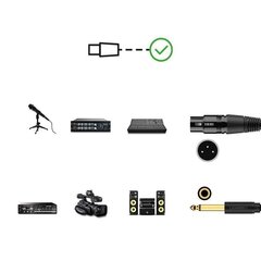Mikrofonikaabel Ugreen, 6.35 mm jack, 3 m цена и информация | Кабели и провода | hansapost.ee