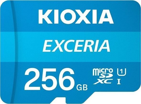 Kioxia LMEX1L256GG2 цена и информация | Fotoaparaatide mälukaardid | hansapost.ee