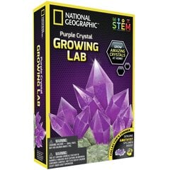 Teadusmäng Kristalli kasvatamine National Geographic Crystal Grow Purple, NGPCRYSTAL hind ja info | Arendavad laste mänguasjad | hansapost.ee