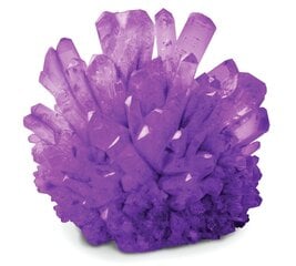 Научная игра Выращивание кристалла National Geographic Crystal Grow Purple, NGPCRYSTAL цена и информация | National Geographic Товары для детей и младенцев | hansapost.ee