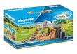 70343 PLAYMOBIL® Family Fun Loomaaia lõvide perekond цена и информация | Klotsid ja konstruktorid | hansapost.ee