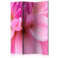 Ruumijaotur - Flower petals - dahlia [Room Dividers] hind ja info | Sirmid ja vaheseinad | hansapost.ee