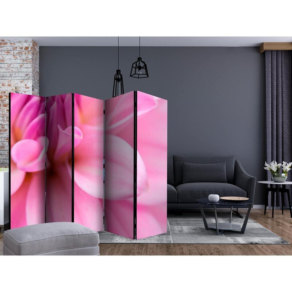 Ruumijaotur - Flower petals - dahlia II [Room Dividers] hind ja info | Sirmid ja vaheseinad | hansapost.ee