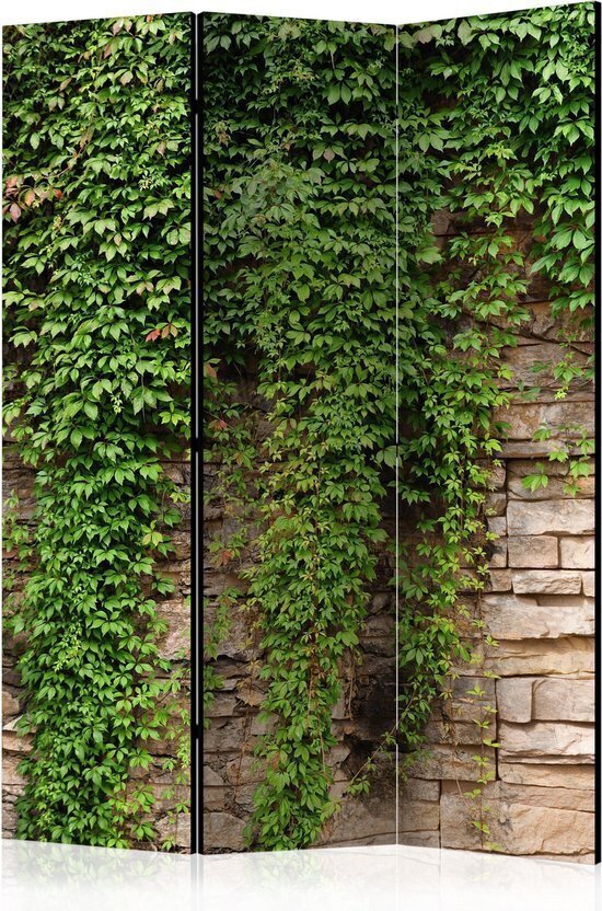 Ruumijaotur - Ivy wall [Room Dividers] hind ja info | Sirmid ja vaheseinad | hansapost.ee