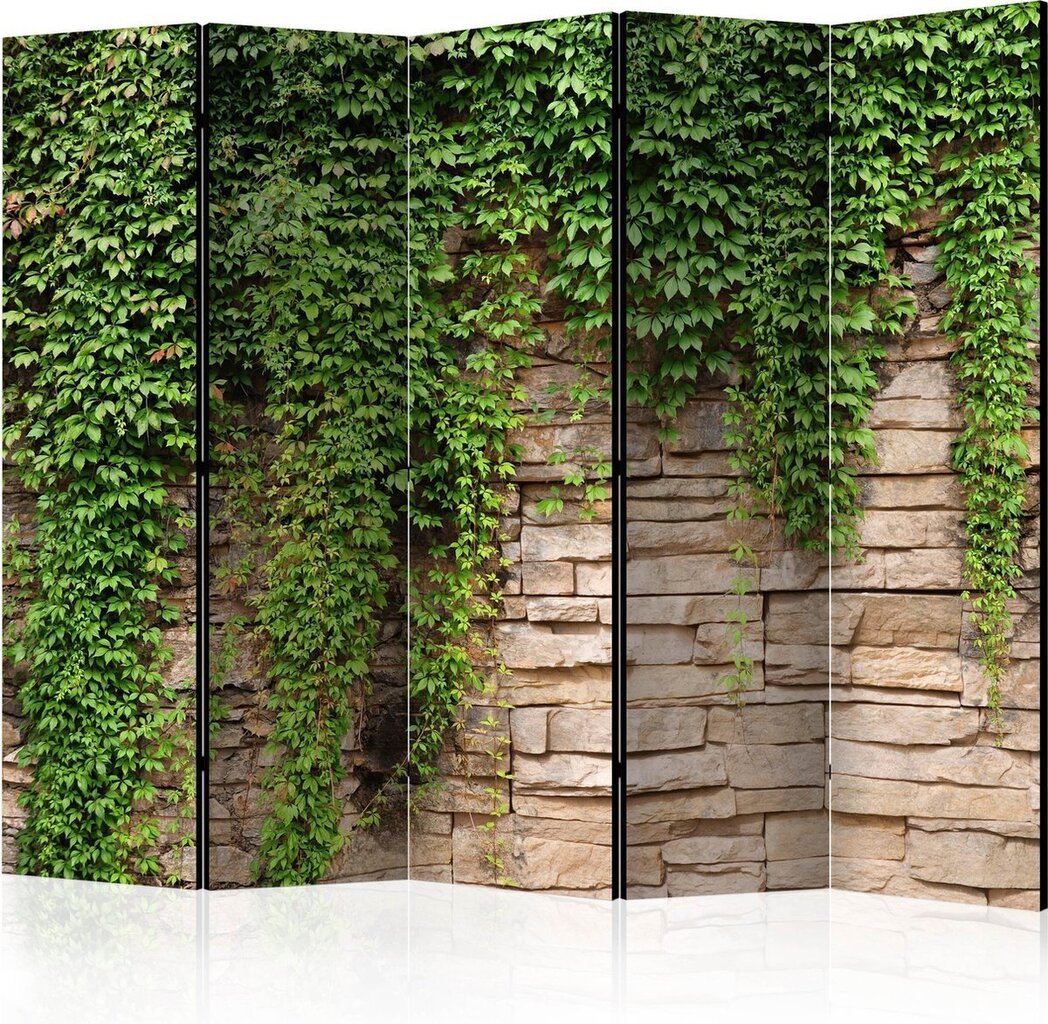 Ruumijaotur - Ivy wall II [Room Dividers] hind ja info | Sirmid ja vaheseinad | hansapost.ee