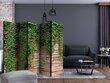 Ruumijaotur - Ivy wall II [Room Dividers] hind ja info | Sirmid ja vaheseinad | hansapost.ee