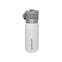 Kõrrega termospudel The IceFlow Flip Straw Water Bottle Go 0,65 l, valge hind ja info | Termosed ja termokruusid | hansapost.ee