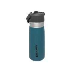 Kõrrega termospudel The IceFlow Flip Straw Water Bottle Go 0,65 l, laguunisinine hind ja info | Termosed ja termokruusid | hansapost.ee