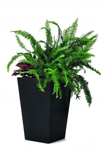 Lillepott Keter Rattan Planter, S, 43.5 cm hind ja info | Lillepotid | hansapost.ee