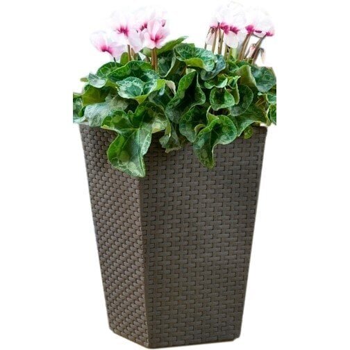 Lillepott Keter Rattan Planter, S, pruun hind ja info | Lillepotid | hansapost.ee