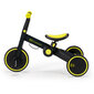 Kolmerattaline 3in1 Kinderkraft 4Trike, must hind ja info | Kolmerattalised jalgrattad lastele | hansapost.ee