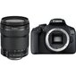 Canon EOS 2000D + 18-135mm IS Kit digipeegelkaamera, must hind ja info | Fotoaparaadid | hansapost.ee