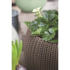 Riputatav lillepott Cozy M With Hanging Set, pruun hind ja info | Lillepotid | hansapost.ee