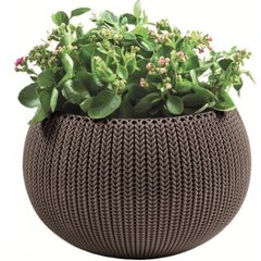 Riputatav lillepott Cozy M With Hanging Set, pruun price and information | Flowerpots | hansapost.ee