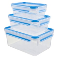 Набор контейнеров для хранения продуктов Masterseal Fresh Box, 0.55 / 1.00 / 2.30 л, прямоугольный, 3 шт.  цена и информация | Контейнеры для хранения продуктов | hansapost.ee