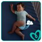 Mähkmed Pampers Active Baby-Dry, Monthly Pack, suurus 3, 6-10 kg, 208 tk hind ja info | Mähkmed, riidest mähkmed | hansapost.ee