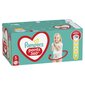 Püksmähkmed Pampers Pants, suurus 5, 96 tk, 12kg-17kg hind ja info | Mähkmed, riidest mähkmed | hansapost.ee