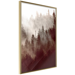 Poster - Forest Fog hind ja info | Seinapildid | hansapost.ee