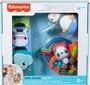 Fisher-Price® mängukomplekt 6+ kuud HFJ93 hind ja info | Beebide mänguasjad | hansapost.ee