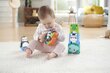 Fisher-Price® mängukomplekt 6+ kuud HFJ93 hind ja info | Beebide mänguasjad | hansapost.ee