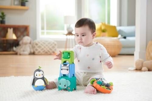 Fisher-Price® mängukomplekt 6+ kuud HFJ93 hind ja info | Beebide mänguasjad | hansapost.ee