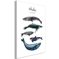 Maal - Whales (1 Part) Vertical price and information | Wallpapers | hansapost.ee