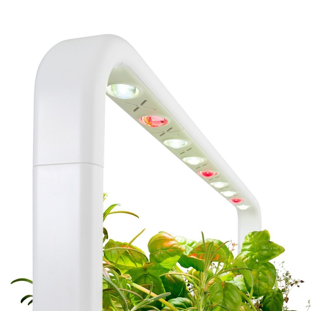 Click & Grow Smart Garden 9 hind ja info | Nutipotid ja taimelambid | hansapost.ee