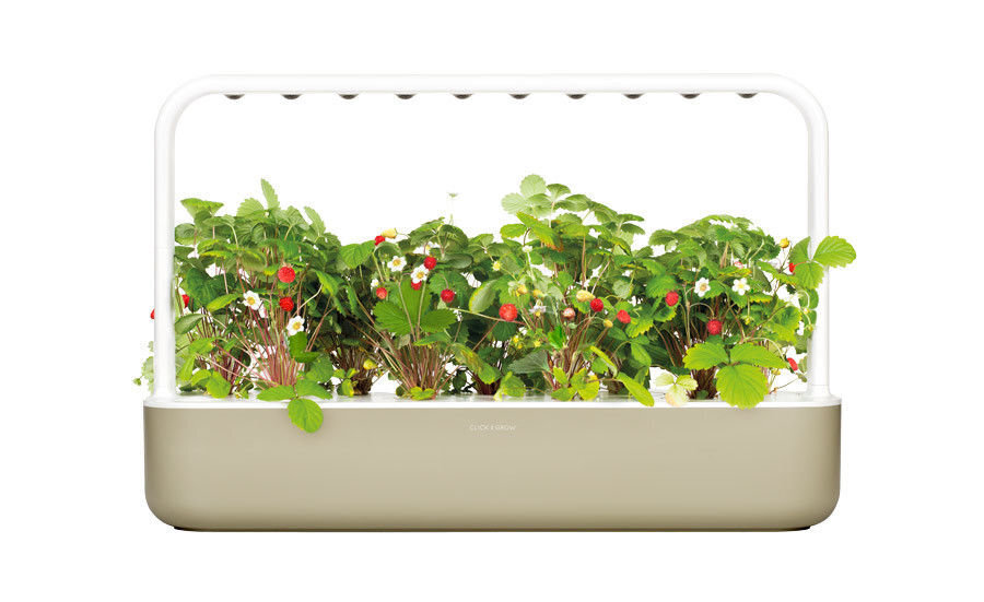 Click & Grow Smart Garden 9 price and information | Nutipotid ja taimelambid | hansapost.ee