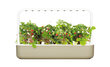 Click & Grow Smart Garden 9 цена и информация | Nutipotid ja taimelambid | hansapost.ee