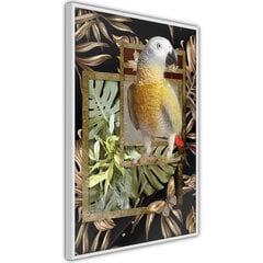 Poster Composition with Gold Parrot цена и информация | Картины, живопись | hansapost.ee