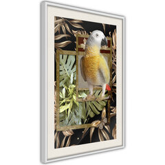 Poster Composition with Gold Parrot hind ja info | Seinapildid | hansapost.ee