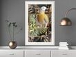 Poster Composition with Gold Parrot цена и информация | Seinapildid | hansapost.ee