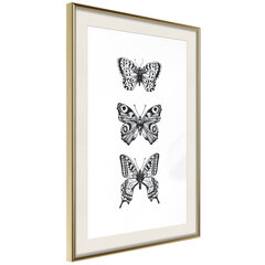 Poster - Butterfly Collection III hind ja info | Seinapildid | hansapost.ee