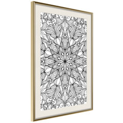 Poster - Colourless Mandala hind ja info | Seinapildid | hansapost.ee