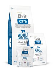 Kuivtoit koertele Brit Care Adult Large Breed Lamb & Rice 12 kg hind ja info | Koerte kuivtoit ja krõbinad | hansapost.ee