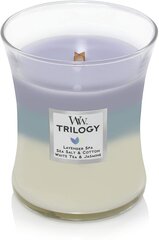 WoodWick ароматическая свеча Trilogy Calming Retreat, 275 г цена и информация | Свечи, подсвечники | hansapost.ee