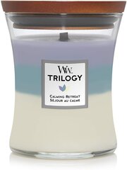 WoodWick ароматическая свеча Trilogy Calming Retreat, 275 г цена и информация | Подсвечники, свечи | hansapost.ee