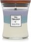 WoodWick lõhnaküünal Trilogy Calming Retreat, 275 g hind ja info | Küünlad, küünlajalad | hansapost.ee