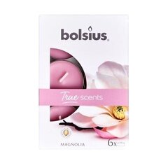 Чайные свечи Bolsius True Scents, 6 шт., магнолия цена и информация | Свечи, подсвечники | hansapost.ee