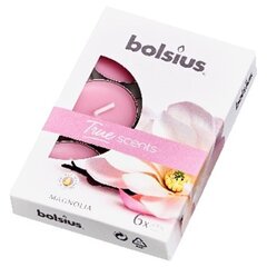 Чайные свечи Bolsius True Scents, 6 шт., магнолия цена и информация | Свечи, подсвечники | hansapost.ee