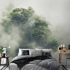 Fototapeet - Foggy Amazon цена и информация | Фотообои | hansapost.ee