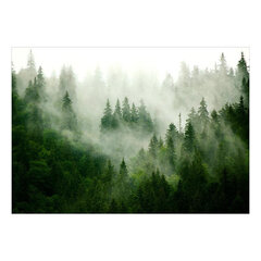 Фотообои - Mountain Forest (Green) цена и информация | Фотообои | hansapost.ee