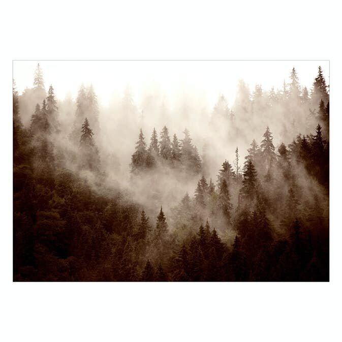 Fototapeet - Mountain Forest (Sepia), 98x70 hind ja info | Fototapeedid | hansapost.ee