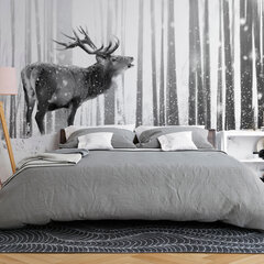 Фотообои - Deer in the Snow (Black and White) цена и информация | Фотообои | hansapost.ee