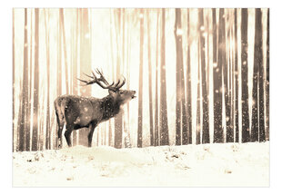 Фотообои - Deer in the Snow (Sepia), 98x70 цена и информация | Фотообои | hansapost.ee