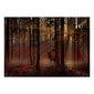 Fototapeet – Müstiline mets – Esimene variant, 98x70 hind ja info | Fototapeedid | hansapost.ee